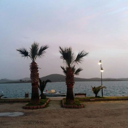 Aliye Hanim Ayvalı المظهر الخارجي الصورة